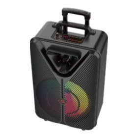 Corneta Bluetooth 15" 10000W Pmpo ZQS15123 Bateria 4000 Mah con Microfono